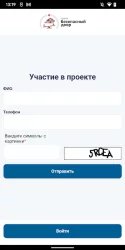 Проект Безопасный двор