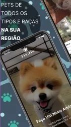 Tiutiu: Adoção de animais